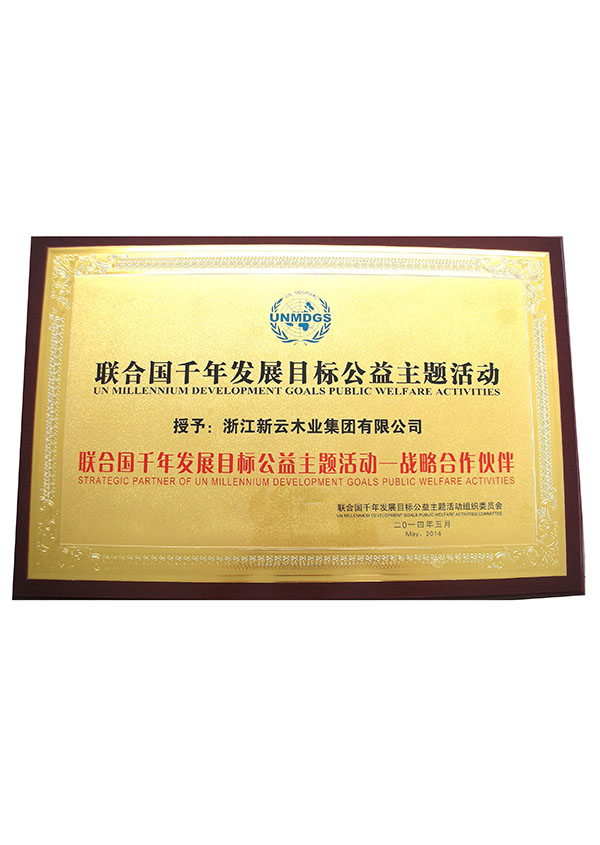 联合国千年发展目标公益