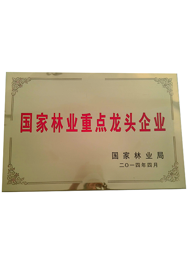 国家林业重点龙头企业